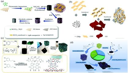 二維材料基氣凝膠的合成、功能調(diào)控及其在環(huán)境檢測和修復(fù)領(lǐng)域的應(yīng)用-納孚生物