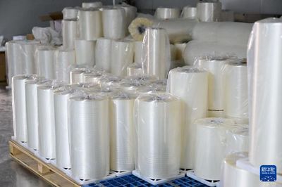 中國經濟樣本觀察&middot;縣域樣本篇丨界首:最懂得"垃圾是放錯地方資源"的小城