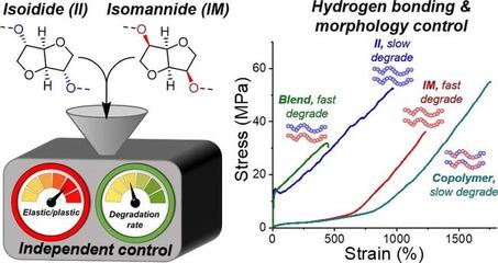 糖竟是可持續(xù)密鑰?糖基環(huán)保塑料兼具機械特性和可降解雙重優(yōu)勢