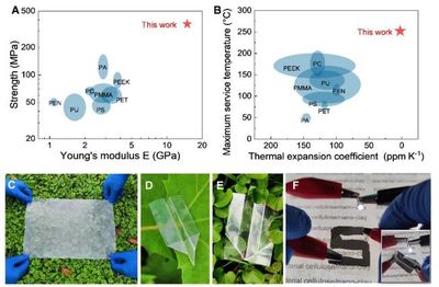 中國(guó)科大俞書(shū)宏院士團(tuán)隊(duì)研制可降解仿生透明薄膜
